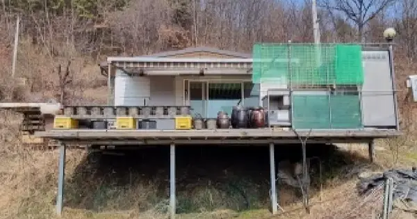 대전광역시 동구 오동 304  단독주택 경매 물건 이미지