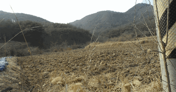 경상북도 경주시 내남면 덕천리 206-7 답 경매 물건 이미지