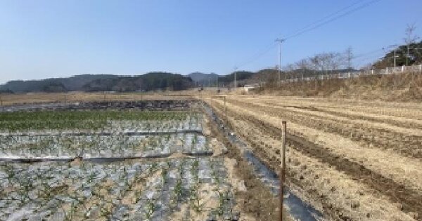 충청남도 태안군 소원면 송현리 409 답 경매 물건 이미지