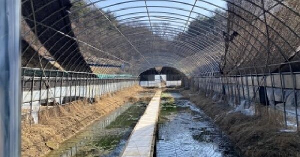 충청남도 서산시 고북면 신송리 143 양어장 경매 물건 이미지