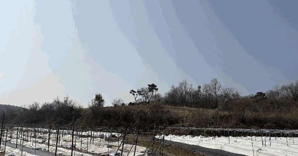전남광주통합특별시 영암군 삼호읍 산호리 1036-14 임야 경매 물건 이미지