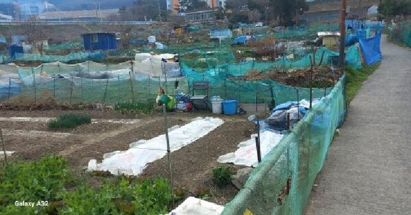 경상남도 거제시 아주동 1166 답 경매 물건 이미지