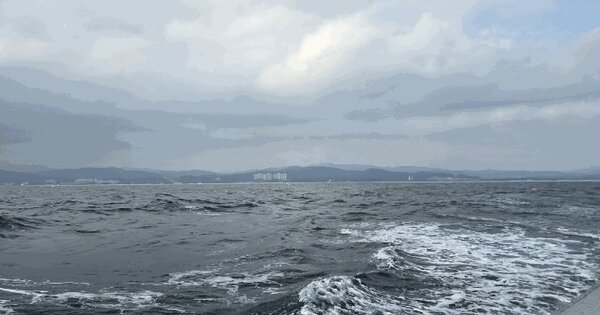 강원특별자치도 양양군 손양면 여운포리 지선  어업권 경매 물건 이미지
