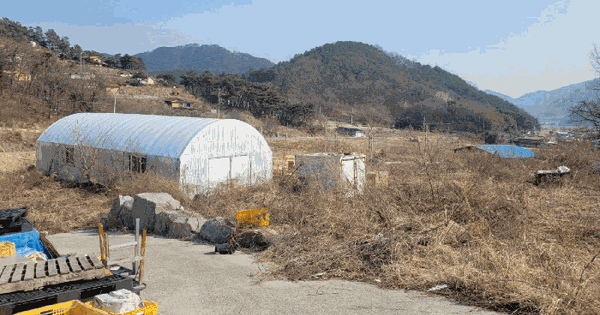 경상북도 고령군 덕곡면 가륜리 8-8 과수원 경매 물건 이미지