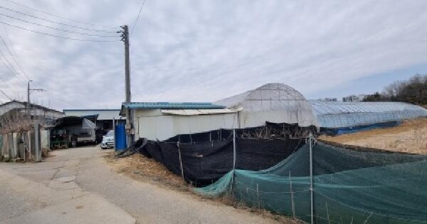 충청남도 금산군 금산읍 음지리 306 답 경매 물건 이미지