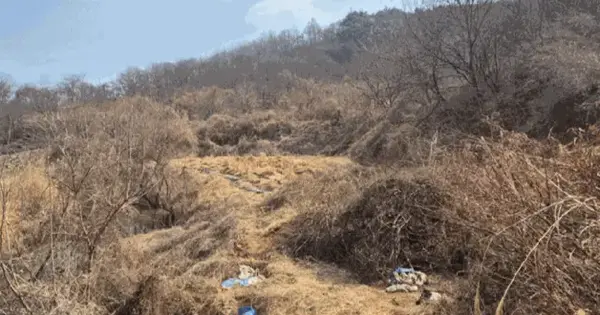 경상남도 산청군 신안면 갈전리 728 전 경매 물건 이미지