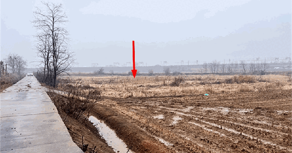 경기도 평택시 현덕면 황산리 251-1 답 경매 물건 이미지