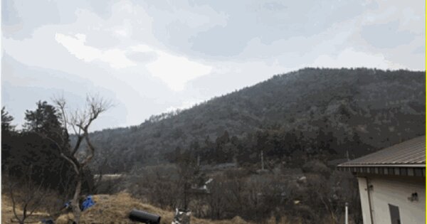전라남도 순천시 상사면 쌍지리 산10 임야 경매 물건 이미지