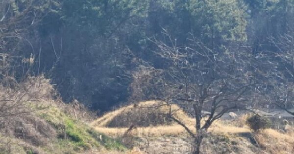 전남광주통합특별시 고흥군 과역면 석봉리 758 전 경매 물건 이미지