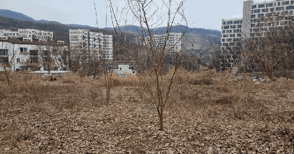 경기도 광주시 신현동 145 답 경매 물건 이미지