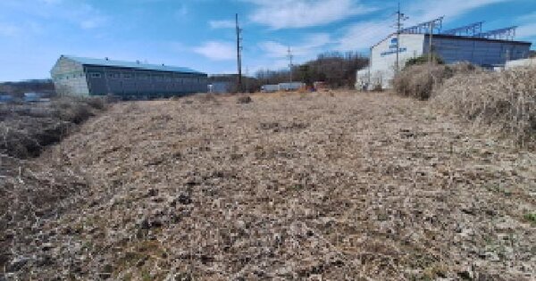 충청남도 당진시 고대면 슬항리 31-5 답 경매 물건 이미지