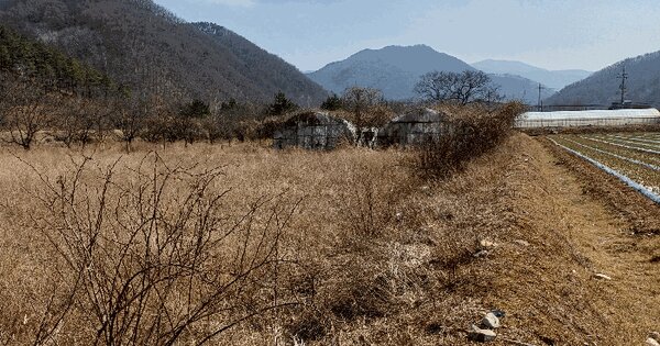 경상북도 경주시 산내면 일부리 2642-4 답 경매 물건 이미지