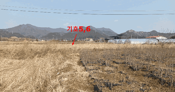 전북특별자치도 완주군 용진읍 간중리 481-4 답 경매 물건 이미지