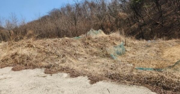 경기도 양주시 봉양동 93-6 임야 경매 물건 이미지