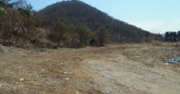 전북특별자치도 진안군 부귀면 궁항리 360-24 임야 경매 물건 이미지