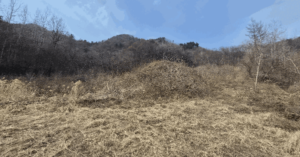 강원특별자치도 춘천시 동산면 조양리 829-1 전 경매 물건 이미지