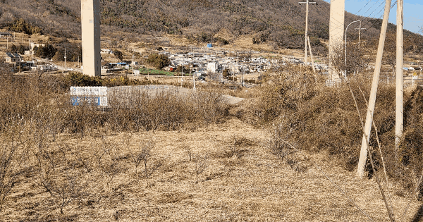 전남광주통합특별시 여수시 묘도동 1805 대지 경매 물건 이미지