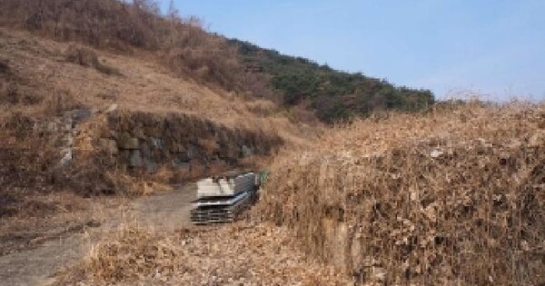 경상남도 창녕군 부곡면 거문리 1139-2 임야 경매 물건 이미지