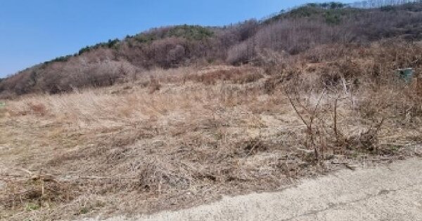 충청남도 금산군 진산면 묵산리 270 답 경매 물건 이미지