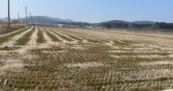 전북특별자치도 고창군 해리면 안산리 144-1 대지 경매 물건 이미지