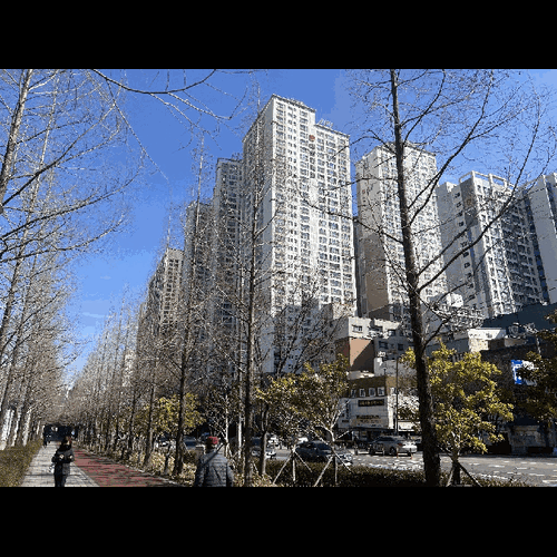 물건 사진
