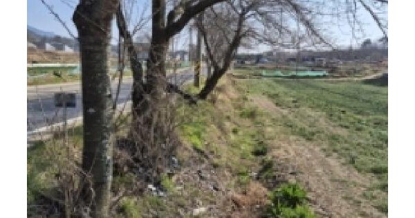경상남도 고성군 거류면 가려리 608-1 도로 경매 물건 이미지