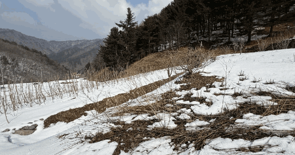 강원특별자치도 인제군 기린면 진동리 569 전 경매 물건 이미지