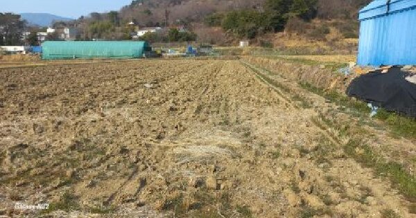 경상남도 거제시 거제면 동상리 189-8 답 경매 물건 이미지