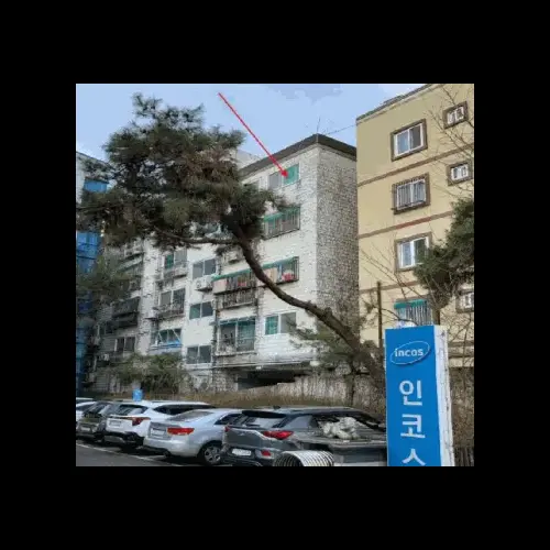 물건 사진
