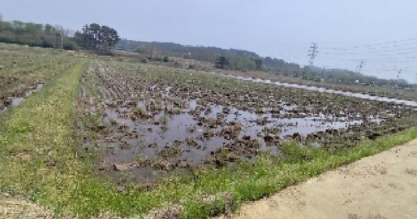 충청남도 보령시 주교면 주교리 1642-7 답 경매 물건 이미지