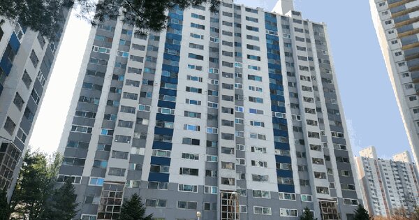 대전광역시 서구 관저동 984 원앙마을2단지 204동 7층 705호 아파트 경매 물건 이미지