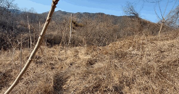 전라남도 담양군 월산면 중월리 217 답 경매 물건 이미지