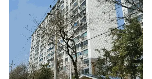 광주광역시 광산구 월계동 756-5 첨단금호타운 102동 10층1002호 아파트 경매 물건 이미지
