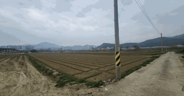 전라남도 순천시 서면 죽평리 231-8 답 경매 물건 이미지