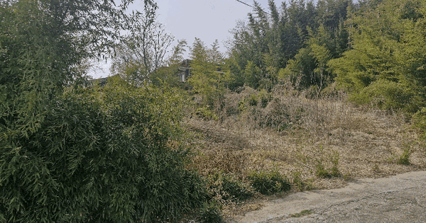 경상북도 성주군 선남면 취곡리 223-2 대지 경매 물건 이미지