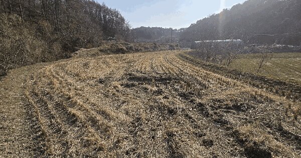 충청북도 청주시 서원구 남이면 비룡리 181-3 답 경매 물건 이미지