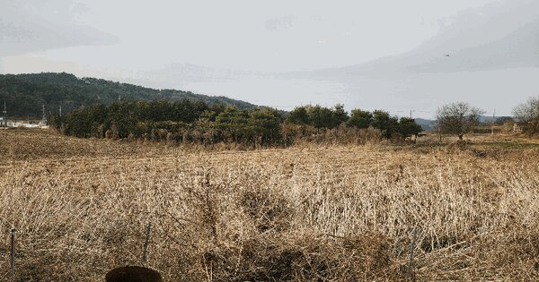 충청북도 청주시 청원구 내수읍 형동리 451 답 경매 물건 이미지