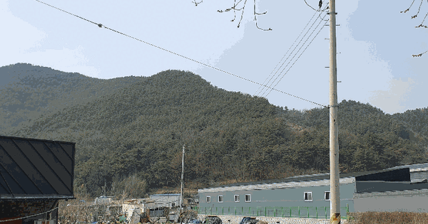 경상남도 창원시 의창구 북면 월촌리 산35 임야 경매 물건 이미지