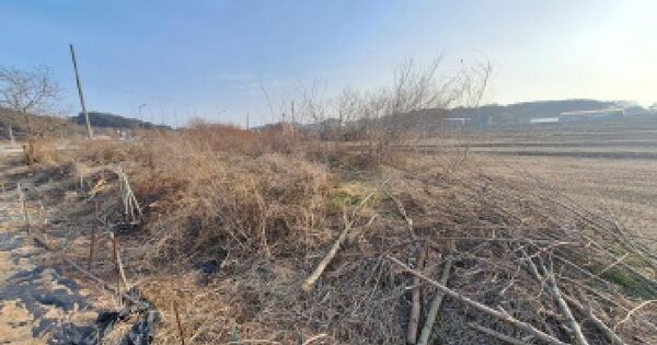 충청남도 서산시 지곡면 화천리 358 답 경매 물건 이미지