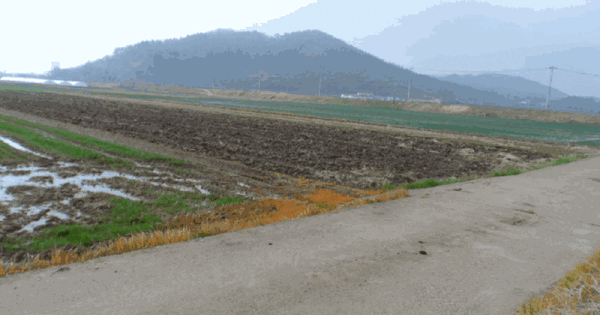 전남광주통합특별시 함평군 대동면 덕산리 865-14 답 경매 물건 이미지