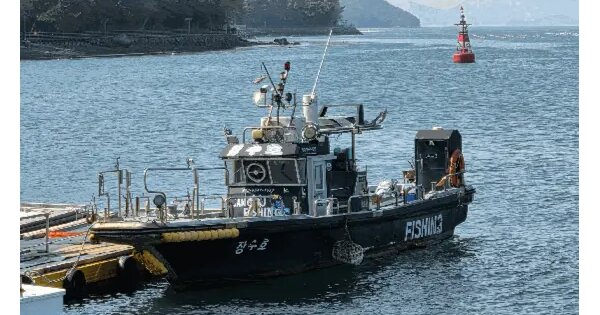 경상남도 거제시 장승포동 장승포항  선박 경매 물건 이미지