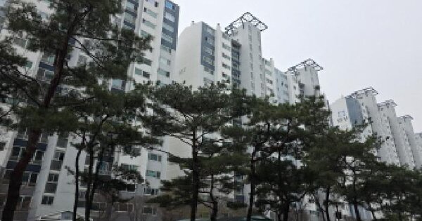 대구광역시 달서구 장기동 809 영남네오빌파크 102동 13층1303호 아파트 경매 물건 이미지
