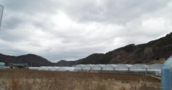 전북특별자치도 진안군 진안읍 물곡리 1091-1 답 경매 물건 이미지