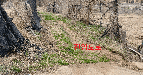 경기도 평택시 팽성읍 신호리 133 전 경매 물건 이미지