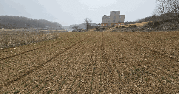 경기도 파주시 문산읍 마정리 230-1 전 경매 물건 이미지
