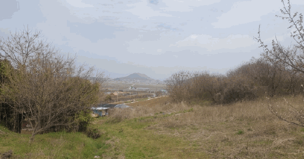 전남광주통합특별시 무안군 삼향읍 용포리 184-110 전 경매 물건 이미지