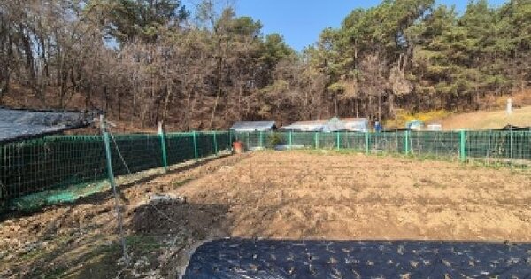 경기도 양주시 마전동 20 전 경매 물건 이미지
