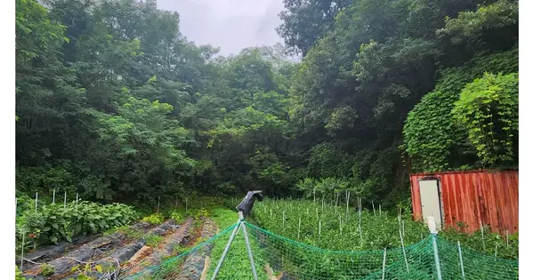 경기도 안성시 대덕면 건지리 360 전 경매 물건 이미지