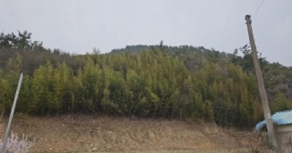 전남광주통합특별시 해남군 삼산면 봉학리 산35-1 임야 경매 물건 이미지