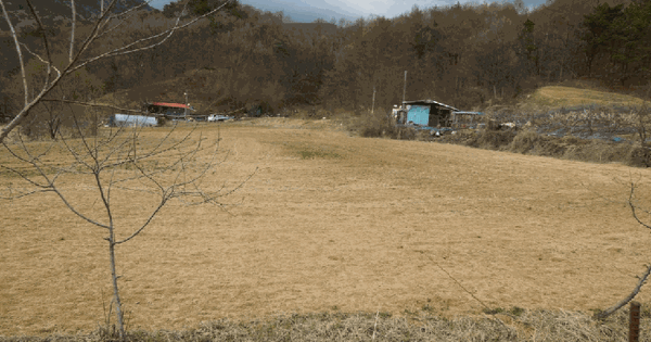 충청남도 금산군 군북면 상곡리 345 답 경매 물건 이미지